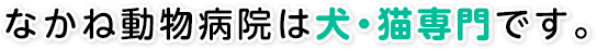 なかね動物病院は犬・猫専門です。